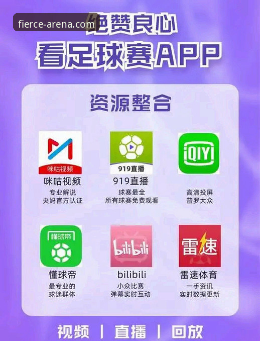 龙珠体育电脑版深度解析：从下载体验到赛事直播的全方位指南